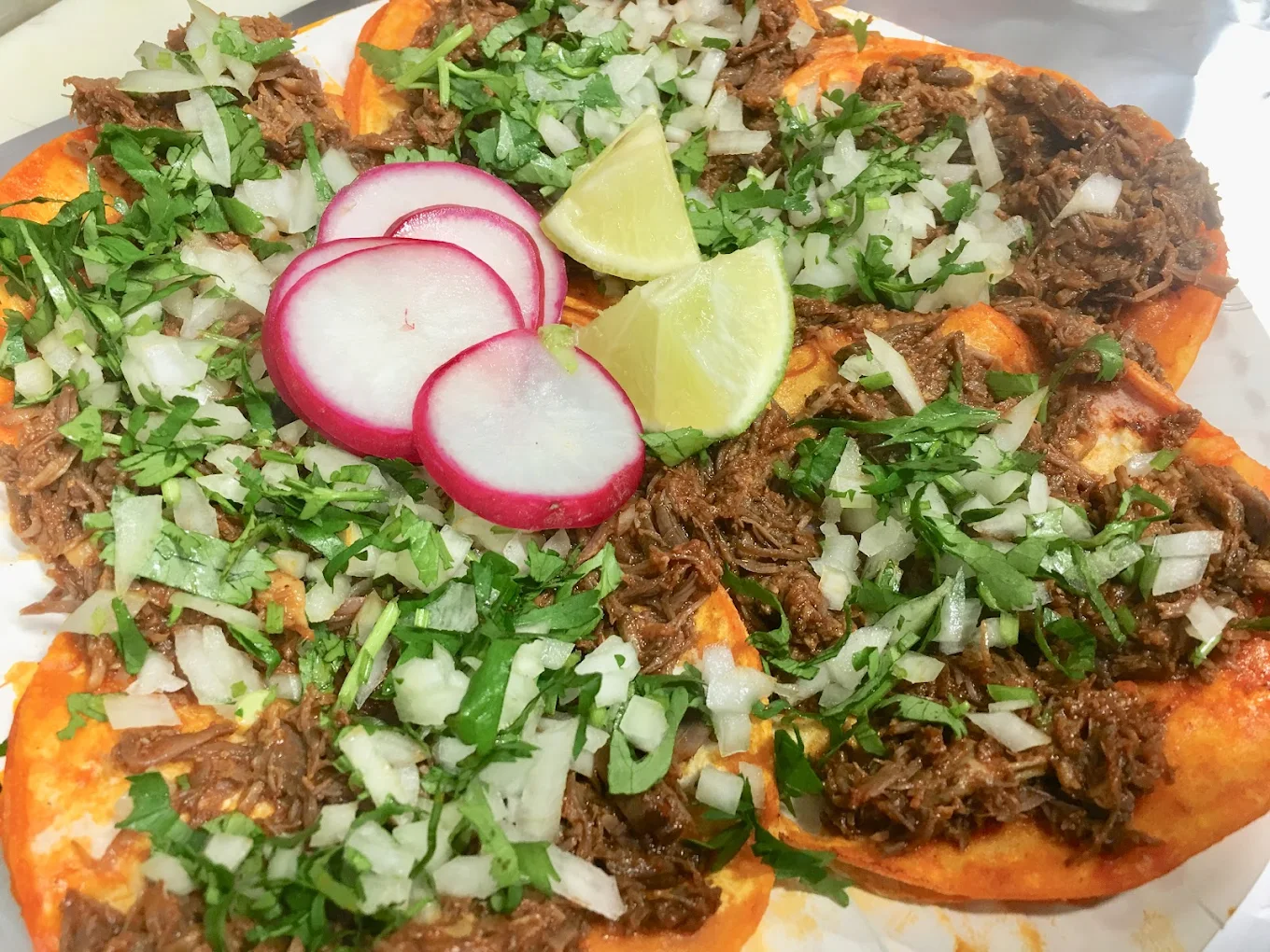 Birria Plate